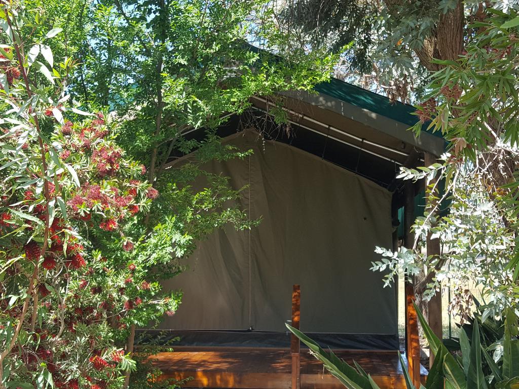 Hoopenburg Guesthouse Klapmuts Ngoại thất bức ảnh