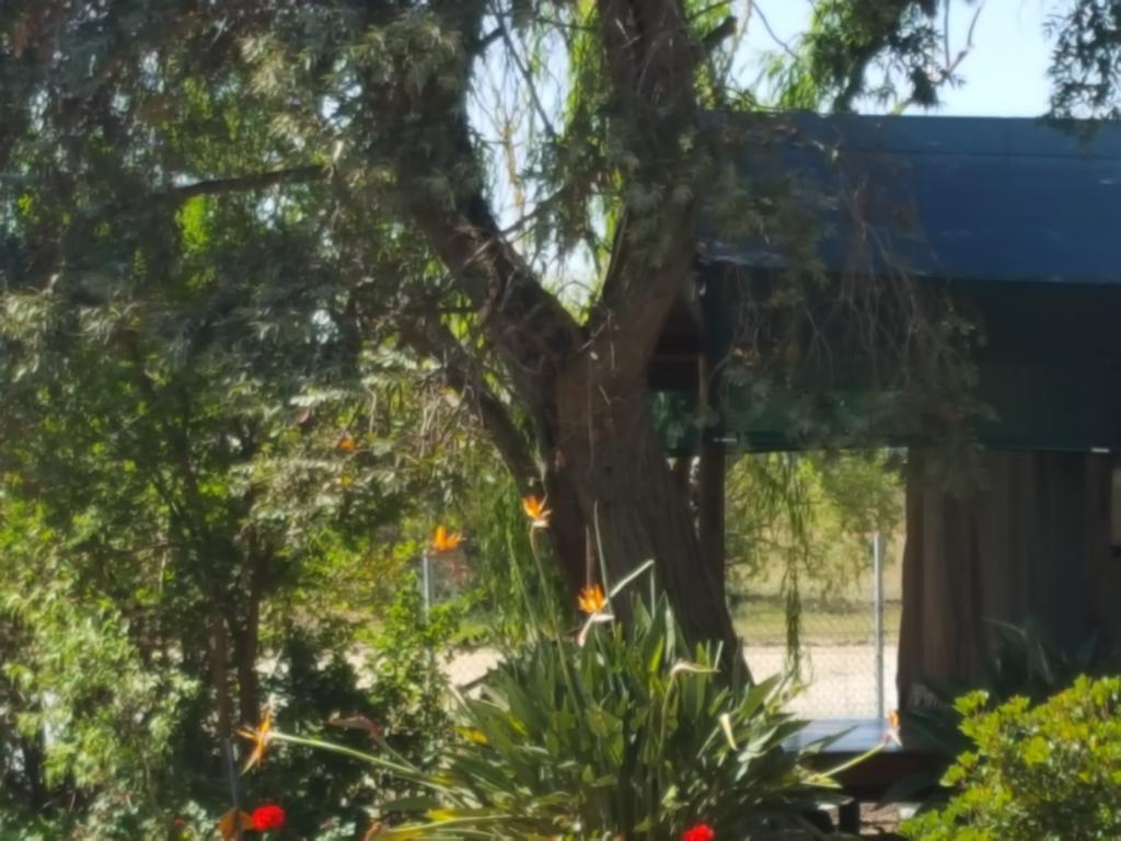 Hoopenburg Guesthouse Klapmuts Ngoại thất bức ảnh