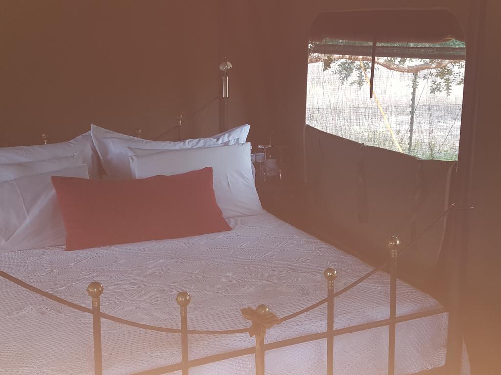 Hoopenburg Guesthouse Klapmuts Ngoại thất bức ảnh